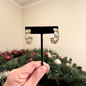 NWOT Iconic Runway Luxury Party Wedding Bold Indigo Octopus Crystal Hoop Earring